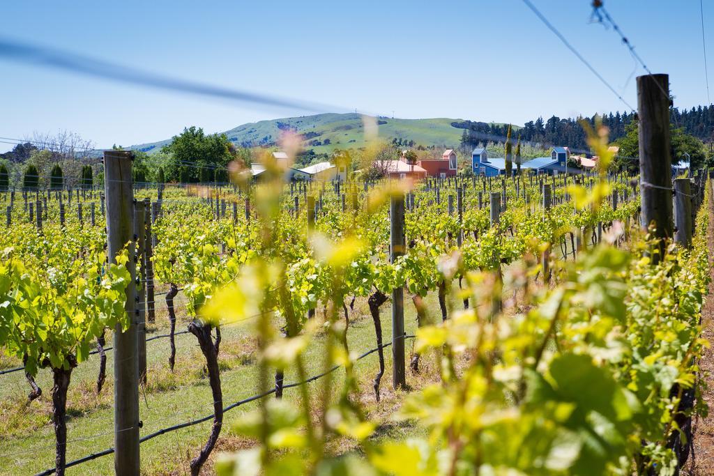 Margrain Vineyard Villas Martinborough Bagian luar foto