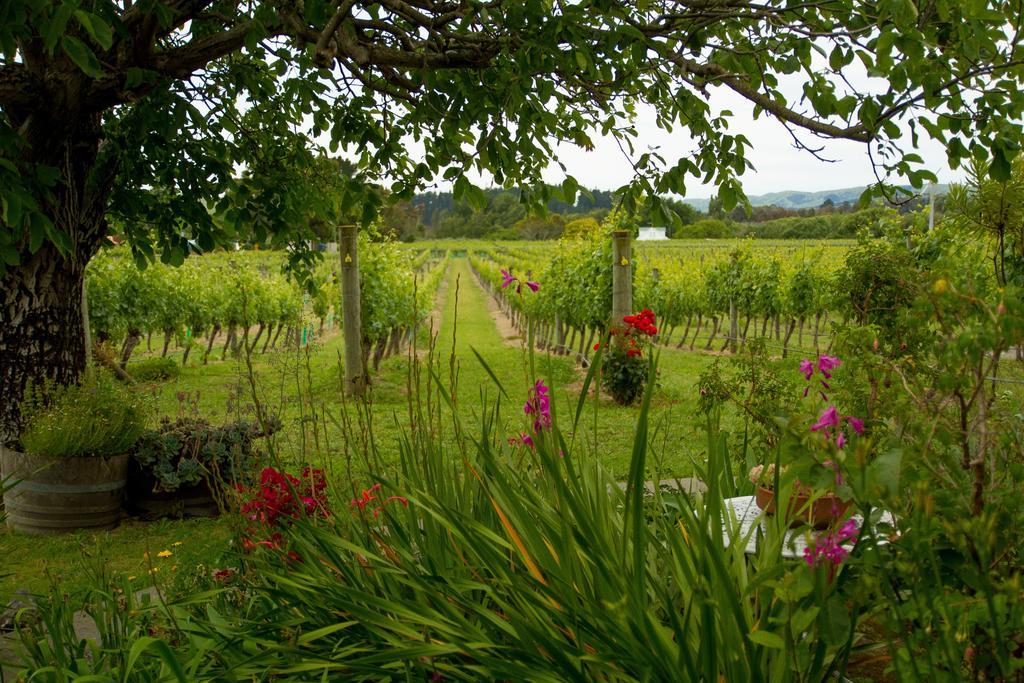 Margrain Vineyard Villas Martinborough Bagian luar foto